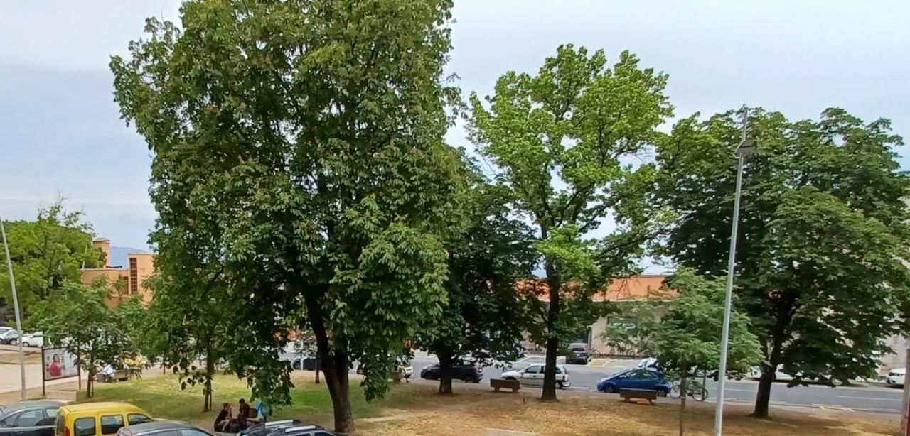 Luminosissimo Appartamento Viareggio Centro Zewnętrze zdjęcie